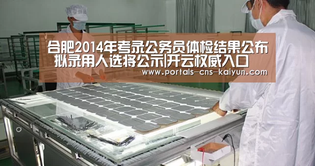 合肥2014年考录公务员体检结果公布 拟录用人选将公示|开云权威入口(图3) 开云综合服务