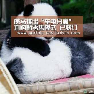 威马推出“车电分离”直购新零售模式 已获订单超千辆‘开云权威入口’(图3) 开云综合服务